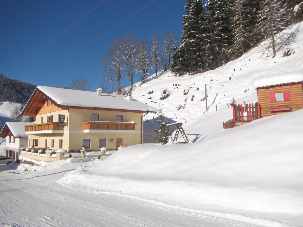 Grubbauer Apartment Wagrain
